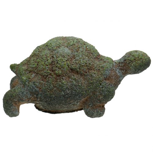 Floristik24 Havefigur skildpadde mos 30 cm x 18 cm H15 cm