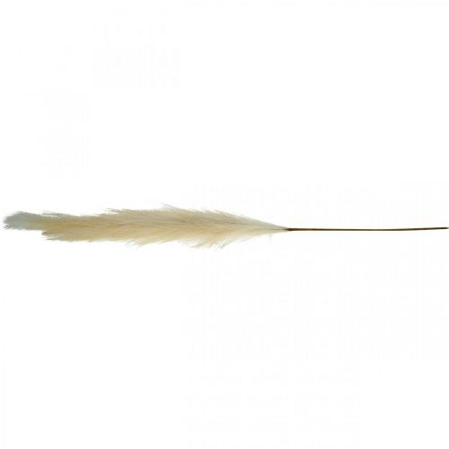 Floristik24 Feather Grass Creme kinesisk siv kunstigt tørt græs 100 cm 3 stk.