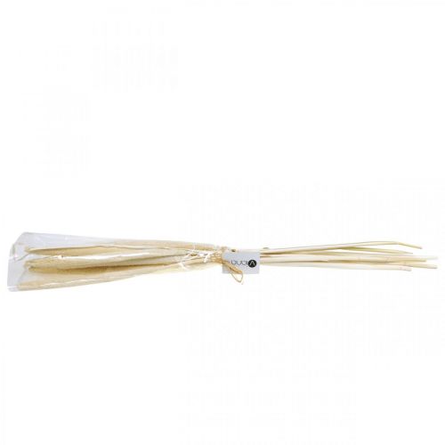 Floristik24 Reed deco rørgræs tørret bleget H60cm bundt