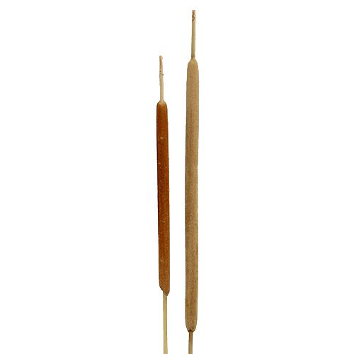 Rivkolbeblanding naturel 100 stk