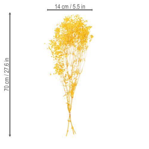 Artikel Tørret blomsterbuket med babyånde. Dekorative blomstrende grene, der er velegnede til sæsonbestemt bordpynt. 70 cm.