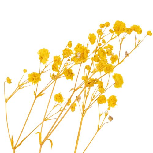 Artikel Tørret blomsterbuket med babyånde. Dekorative blomstrende grene, der er velegnede til sæsonbestemt bordpynt. 70 cm.