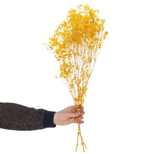 Artikel Tørret blomsterbuket med babyånde. Dekorative blomstrende grene, der er velegnede til sæsonbestemt bordpynt. 70 cm.