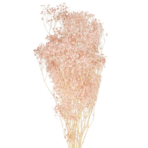 Floristik24 Gypsophila Dekoration Orange Tørrede Græsser Fersken 65-70cm 100g