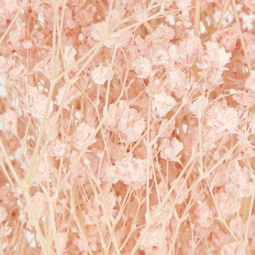 Artikel Gypsophila Dekoration Orange Tørrede Græsser Fersken 65-70cm 100g
