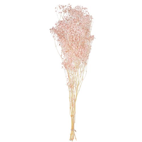 Artikel Gypsophila Dekoration Orange Tørrede Græsser Fersken 65-70cm 100g