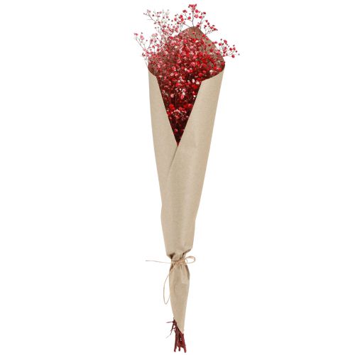 Artikel Gypsophila Gypsophila Tørrede Blomster Rød 50cm 55g