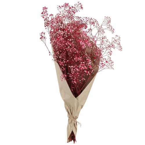 Artikel Gypsophila paniculate gipsurt i bær L50cm 55g