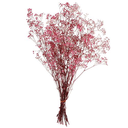 Artikel Gypsophila paniculate gipsurt i bær L50cm 55g