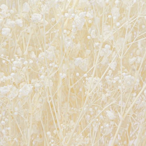 Artikel Gypsophila hvidtørrede græsser dekorationscreme 65-70cm 100g
