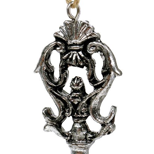 Floristik24 Nøglesølv 10 cm assorteret 6ST