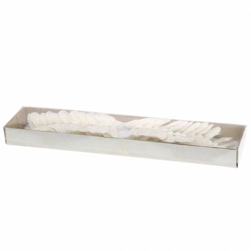 Floristik24 Fjer sommerfugl med tråd hvid, glitter 5cm 24 stk