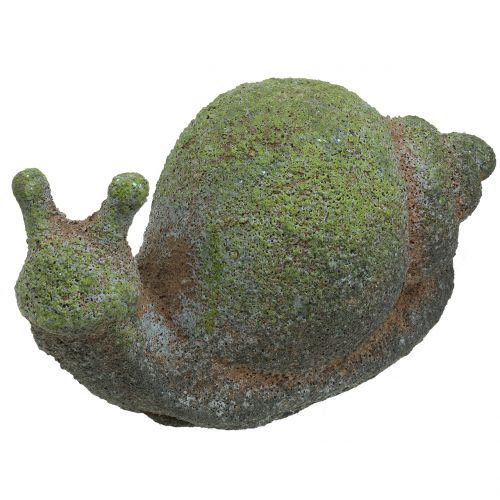 Floristik24 Havefigur snegl moset 31cm x 17cm H17cm