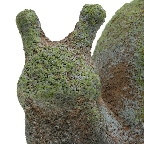 Floristik24 Havefigur snegl moset 31cm x 17cm H17cm