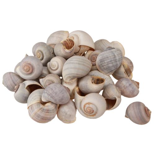 Floristik24 Snegledekoration sneglehuse naturligt land snegletom 500g