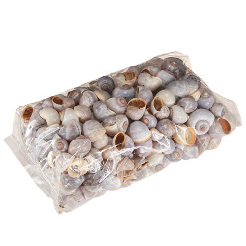 Artikel Sneglehus natur 1kg
