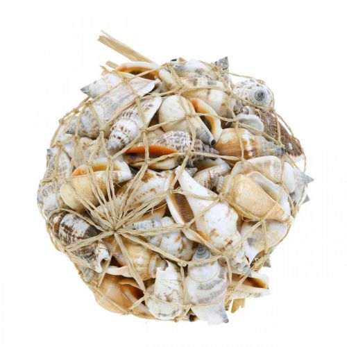 Artikel Deco sneglehuse tomme i bastnet havsnegle 400g