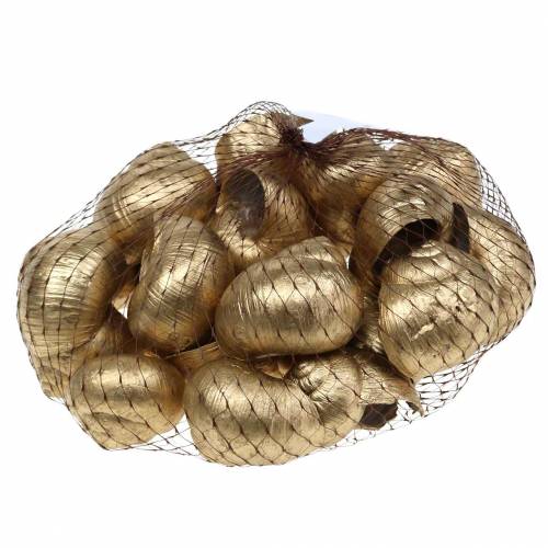 Floristik24 Snegleskal Golden 24 St naturlig dekoration