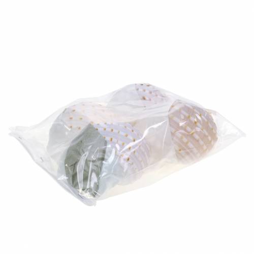 Floristik24 Dekorativ skalsnegl Tonna tessellata naturel 10-13cm 4 stk.