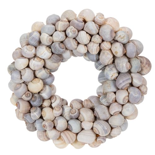 Floristik24 Sneglekrans til ophængning, dekorativ krans, maritim stil, Nathai, Ø35 cm