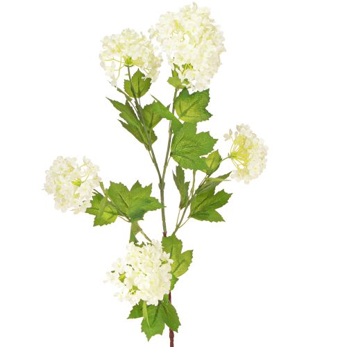 Floristik24 Snowball Kunstig Viburnum Gren Hvide Blomster L90cm