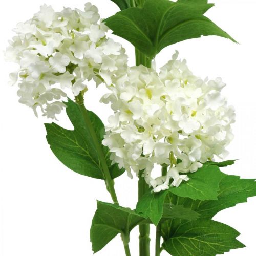 Floristik24 Sneboldgren Kunstig Plante Silkeblomst Hvid Ø6,5cm L78cm