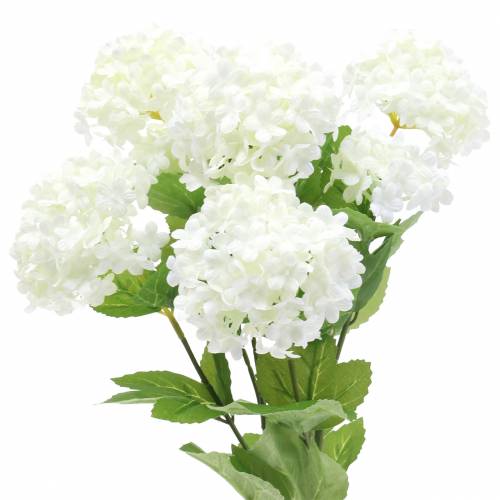 Floristik24 Snowball Viburnum Gren Hvid 42,5 cm