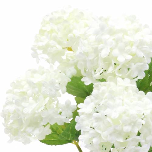 Floristik24 Snowball Viburnum Gren Hvid 42,5 cm