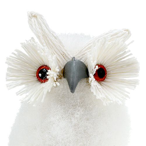 Floristik24 Snowy ugle hvid 18cm