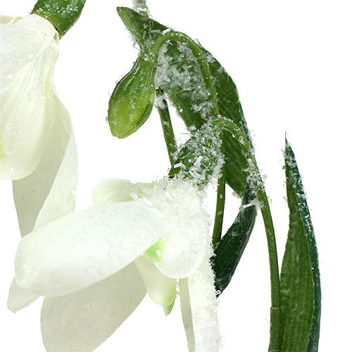 Floristik24 Snowdrops L48cm dækket af sne
