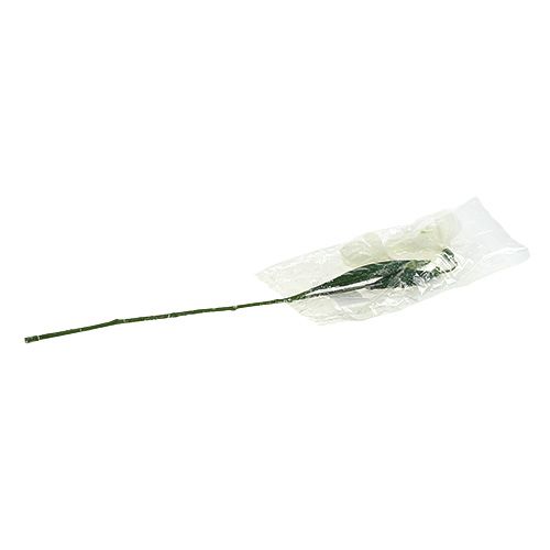 Floristik24 Snowdrops L48cm dækket af sne
