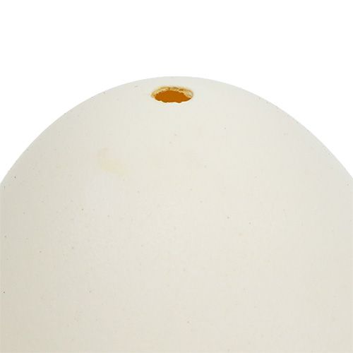Floristik24 Svaneæg 9cm cremehvide 6stk