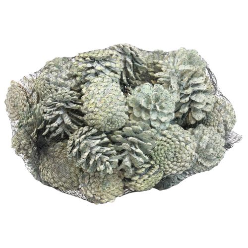 Artikel Sorte fyrrekogler grøn frostet naturdekoration 5-7cm 1kg
