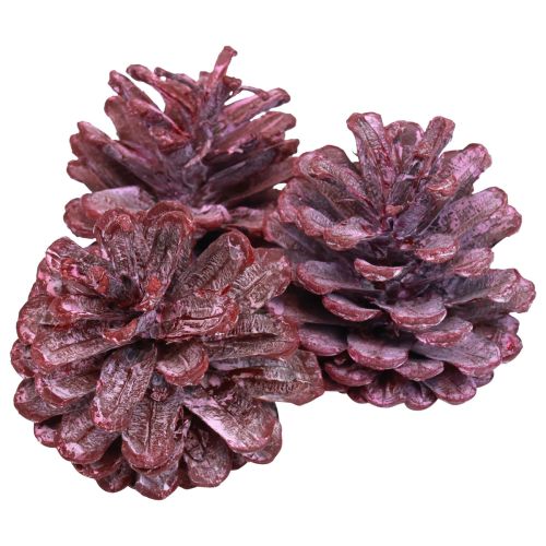 Artikel Sorte fyrrekogler rød naturlig dekoration frostet 5-7cm 1kg