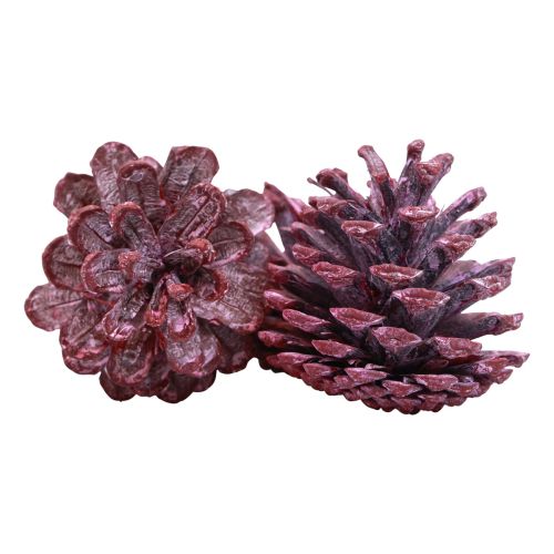 Artikel Sorte fyrrekogler rød naturlig dekoration frostet 5-7cm 1kg
