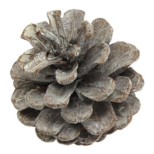 Artikel Sorte fyrrekogler 5-9cm Hvidvasket 1kg
