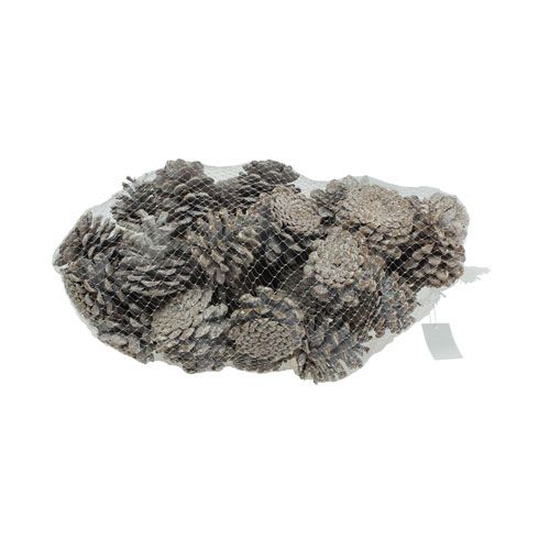 Artikel Sorte fyrrekogler 5-9cm Hvidvasket 1kg