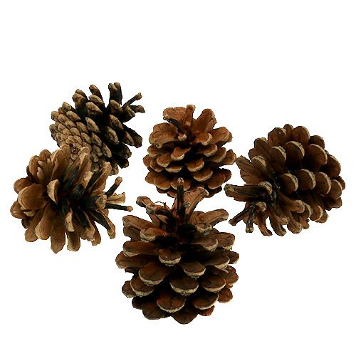 Sorte fyrrekogler natur 5kg