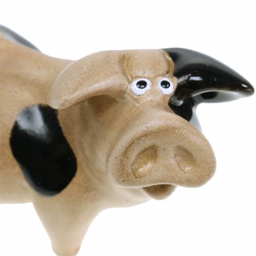 Floristik24 Pig plettet keramik 11 cm sæt med 2