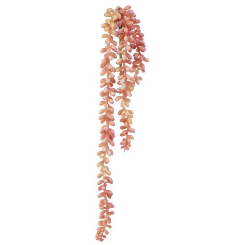 Artikel Sedum &#39;Rubin&#39; hængeplante - dekorativ, letplejet sukkulent 43cm 3 stk.