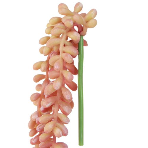 Artikel Sedum &#39;Rubin&#39; hængeplante - dekorativ, letplejet sukkulent 43cm 3 stk.