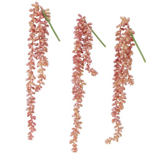 Artikel Sedum 'Rubin' hængeplante - dekorativ, letplejet sukkulent 43cm 3 stk.