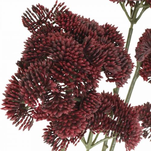 Floristik24 Sedum kunstig rød stonecrop efterårsdekoration 70cm 3stk