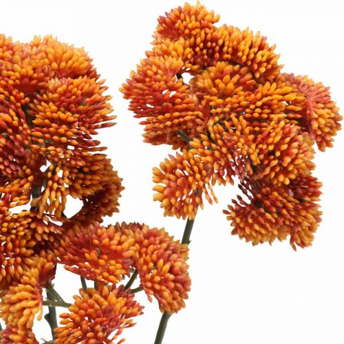 Floristik24 Sedum kunstig sedum orange efterårsdekoration 70cm 3stk