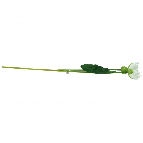 Floristik24 Åkande hvid 75cm