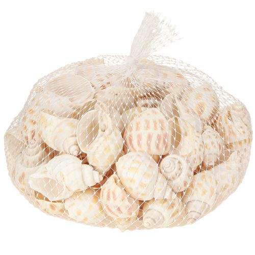 Artikel Søsnegle naturlige sneglehuse maritime 2–4 cm 300 g