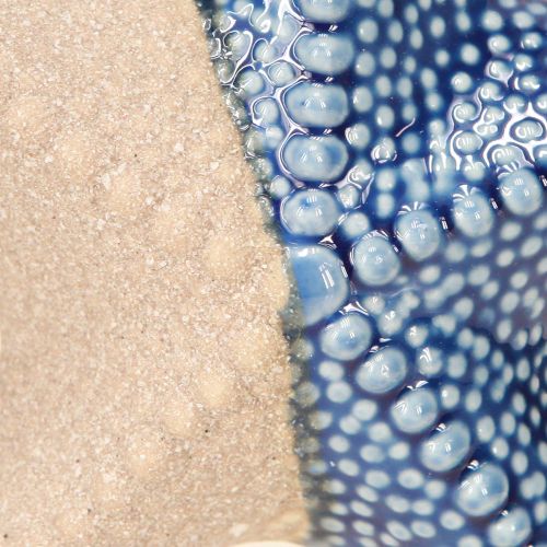 Artikel Søstjerne Porcelæn Sandblå Bordpynt Maritim Ø15cm 2stk