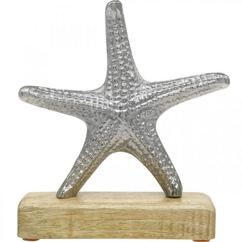 Floristik24 Metal søstjerner, maritim dekoration, dekorativ skulptur sølv, naturlige farver H18cm