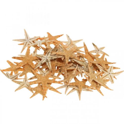 Artikel Søstjerner scatter dekoration hjem deco mini søstjerne natur 2-4cm 50p
