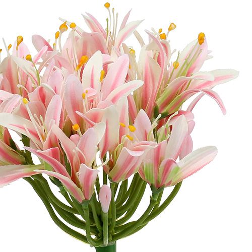 Artikel Silkeblomst agapanthus pink 80cm